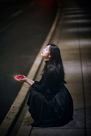 雨霖铃电视剧剧情介绍